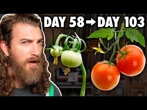 Watching Foods Grow At Crazy Fast Speeds