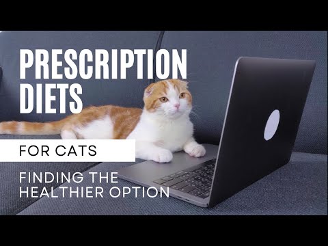 A Whole Food Prescription Diet For Cats | Two Crazy Cat Ladies