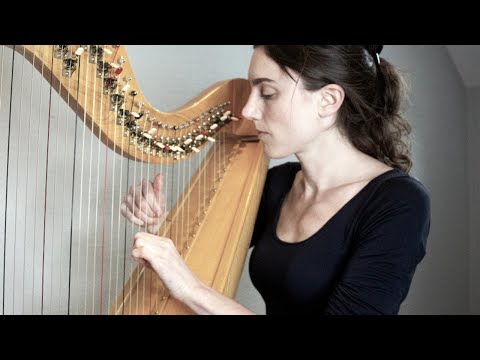 The Harp in Translation II