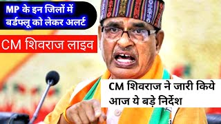 shivraj singh chouhan latest speech || शिवराज सिंह चौहान की आज की ताजा खबर ||