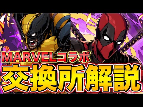 【実況】MARVELコラボ交換所解説！交換必須キャラいます！【パズドラ】