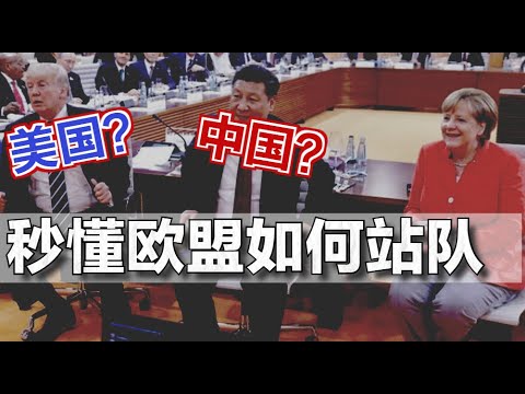 秒懂德国和欧盟的“站队”之策