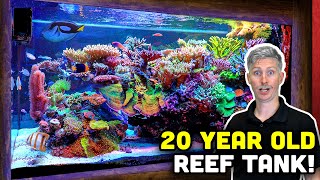 20 YEAR OLD Reef Tank! Keys to a Mature and HEALTHY Reef Tank!