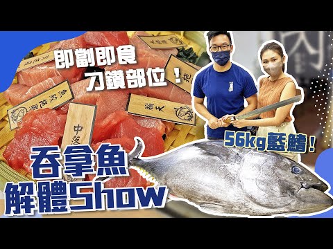 【私心推介🌟】即劏即食吞拿魚稀有部位刺身🤩、魚骨髓都試埋！最好食唔係大拖？56kg日本藍鰭吞拿魚解體workshop－連魚生飯午餐！｜本マグロ｜本鮪｜吞拿魚解體show｜＠豐鮪