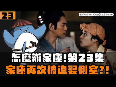 【怎麼辦家康】第23集・歷史解說 | 家康又被迫娶側室？水野信元通敵？