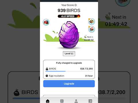 New telegram airdrop #1 || bird airdrop listings soon#hamsterkombat