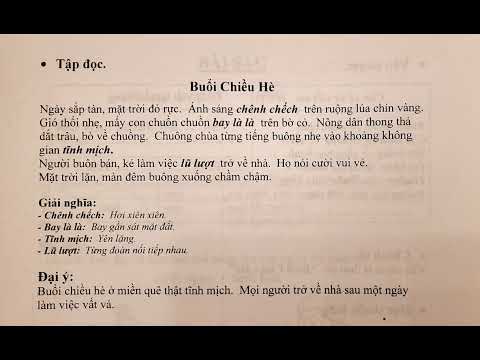 BIN&BIN | Buổi chiều hè