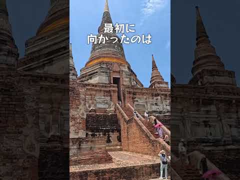 タイに行ってきたよ⑥ 象に乗ったよ #shorts #家族旅行  #アユタヤ