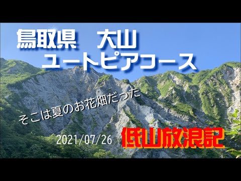 鳥取県 大山ユートピアコース登山 （象ケ鼻～三鈷峰）7月のお花畑！