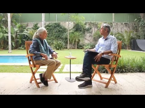 Pensata: Felipe Machado entrevista Jane Goodall