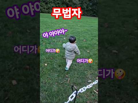 16개월 아기 무법자 !? #아기 일상 #아기 #어디가 #공원 #cute #baby