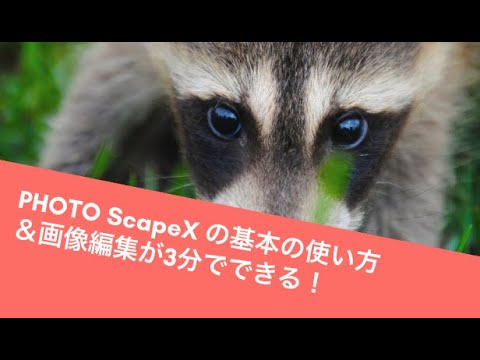 【Mac版】フォトスケープXの基本の使い方！画像編集が3分でできるよ！