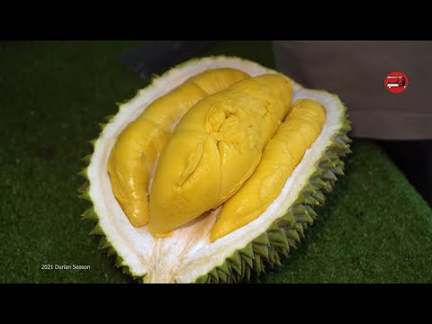 Musang King Durian - Durian from the Highlands (Malaysia)