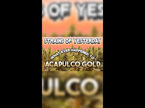 Strains of Yesterday : Acapulco GOLD