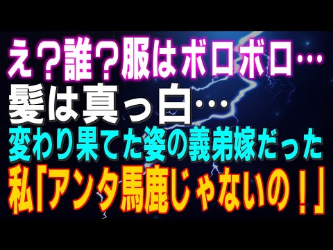 【スカッとする話】え？誰？服はボロボロ…髪は真っ白…変わり果てた姿の義弟嫁だった…私「アンタ馬鹿じゃないの！」結果