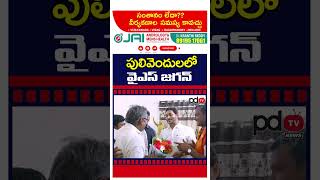 YS Jagan Meets Kadapa Leaders At Pulivendula : PDTV News