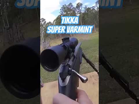 Tikka Super Varmint 223 #ozziereviews #shooting #gun #rifle #firearms #tikka #223 #viralshorts #pew