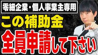 【零細企業・個人事業主必見】あの超人気補助金の2025年の詳細が発表になりました。補助金採択額10億円超の専門家が解説します。