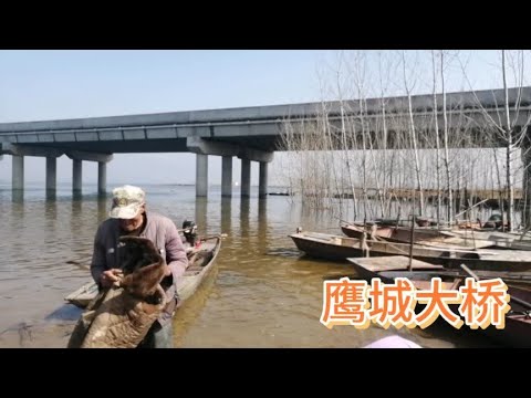 大年初三平顶山鹰城大桥好多人在这里游玩