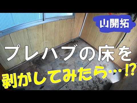 【山開拓】プレハブの床を剥がしてみた！