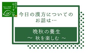 【晩秋の養生】秋を楽しむ