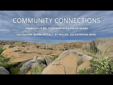 Community Connections: Churchill's Relationship with Polar Bears | Tundra Connections