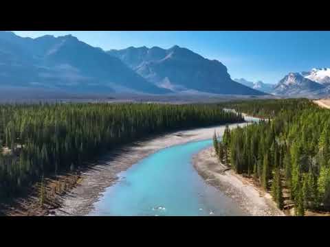 El Sonido de la Flauta Tibetana y el Milagro de la Curación _ Elimina el Estrés y Calma la Mente