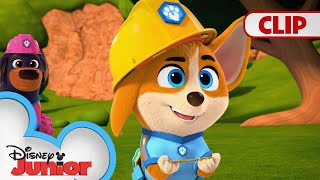 Mayor Bobby Boots 🐱 | Pupstruction | @disneyjr​