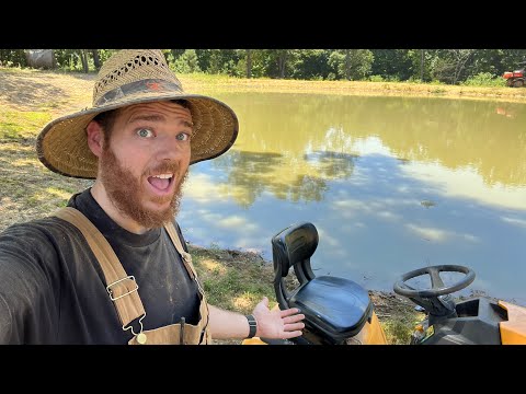 Pond Maintenance & Cleanup: Mowing