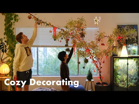 Cozy Decorating with Chris | making a houseplant Christmas tree