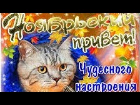 С Добрым Утром в Ноябре❤️ Ноябрьский приветик всем друзьям ❤️