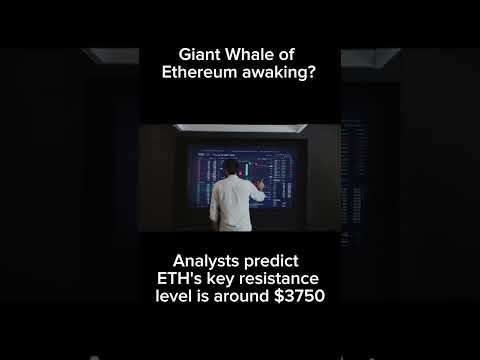 💥ETH‘s chasing $4000? Giant whales are awaking🐳 #shorts #crypto #SOL #bitcoin