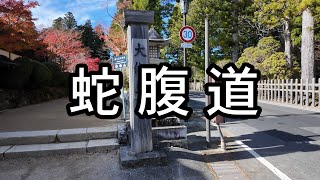 じゃばらみち　高野山ここが一番かな