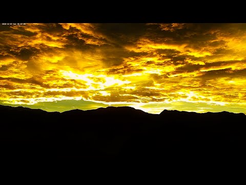 阿里山即時影像-生力農場-日出-縮時 | Shengli Farm Sunrise Timelapse in Alishan, Taiwan 2020-11-07