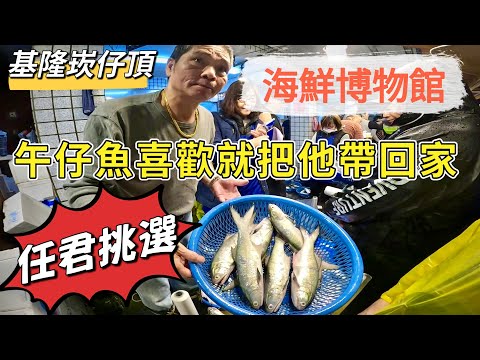 基隆崁仔頂～海鮮博物館～喜歡就把他帶回家（任君挑選）～午仔魚、白帶魚、甘仔魚、黑毛、馬加剪、黑嘉納～深夜糶手拍賣113/12/21（凌晨二點四十五）