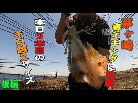 【アオリイカ】春エギングは三浦より茅ヶ崎沖磯が正解か？（湘南磯×烏帽子岩）後編。