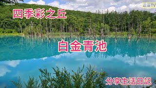 繞北海道Hokkaido一圈~富良野~四季彩之丘~白金青池~分享生活日記