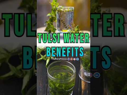 tulsi water benefits | #tulsiwater | #holybasil | #thepairafitness | #weightloss | #viral | #shorts