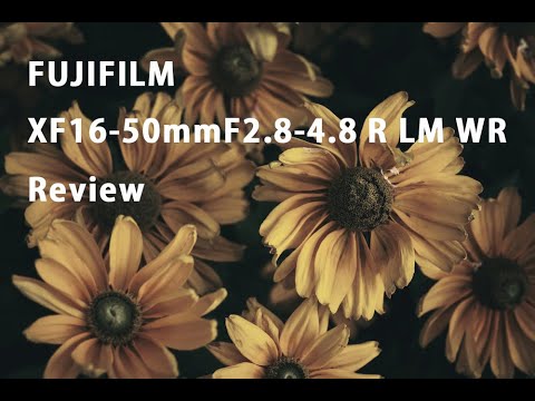 FUJIFILM XF16-50mmF2.8-4.8 R LM WR レンズレビュー（First impression）