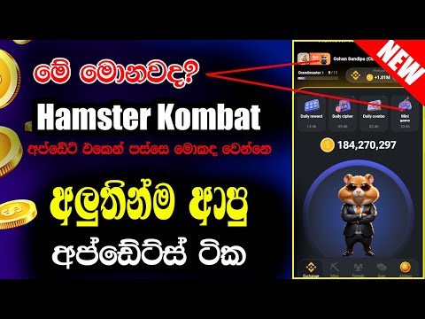 Hamster Kombat New Updates | Hamster Kombat Today News | Hamster Mini Game | Hamster Kombat Sinhala