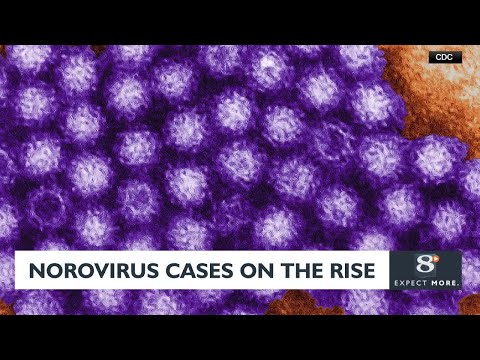 Norovirus cases on  the rise