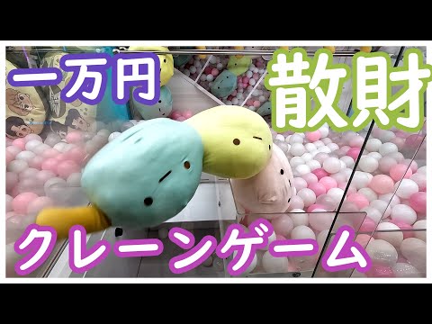 悲報！クレーンゲームですみっコぐらしのたぴおかをプレイして散財してきた！時計回りか反時計回りか選択を間違えると地獄が待っている！3本アームもアームのねじれを考えることが大切！