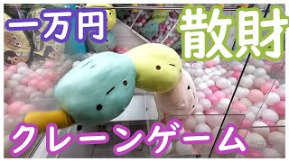 悲報！クレーンゲームですみっコぐらしのたぴおかをプレイして散財してきた！時計回りか反時計回りか選択を間違えると地獄が待っている！3本アームもアームのねじれを考えることが大切！