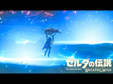 Double trick shots【The Legend of Zelda: Breath of the Wild】