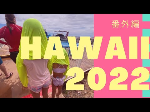 【hawaii vlog】2022.9 hawaii 番外編〜ウェットアンドワイルドハワイ～シャークスコーブ！！