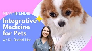 Does Integrative Medicine For Pets Work? w/ Dr Rachel Mar