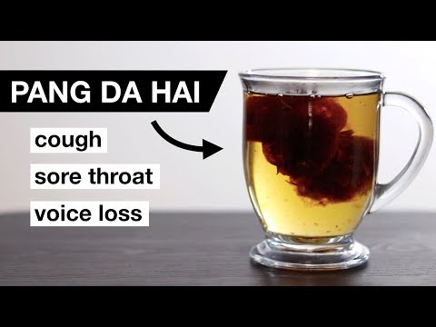 Pang Da Hai - Chinese Herbal Remedy for Sore Throat and Voice Loss