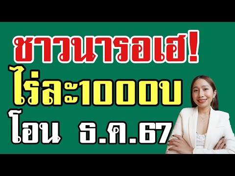 ชาวนารอเฮ! ไร่ละ 1000 พร้อมโอนธันวาคมนี้