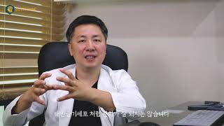 줄기세포란 무엇인가?