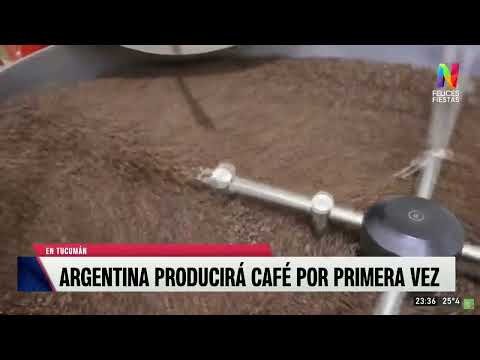 Argentina producirá café por primera vez